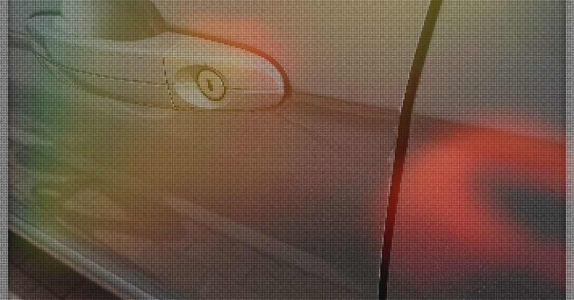 Préparez votre voiture pour l&rsquo;hiver : cette méthode surprenante qui pourrait sauver votre peinture ! ❄️🚗✨