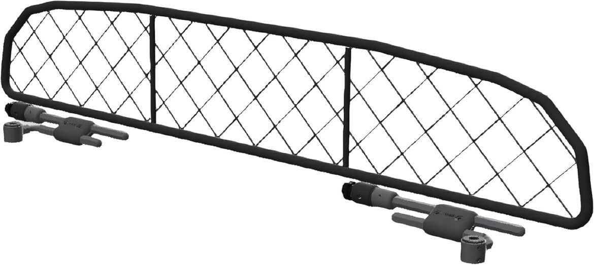 Cette astuce qui transforme votre Ford Focus en un paradis pour chiens et bagages 🐾🧳