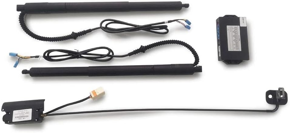 Ce gadget qui transforme votre hayon en un véritable bijou technologique 🚗✨