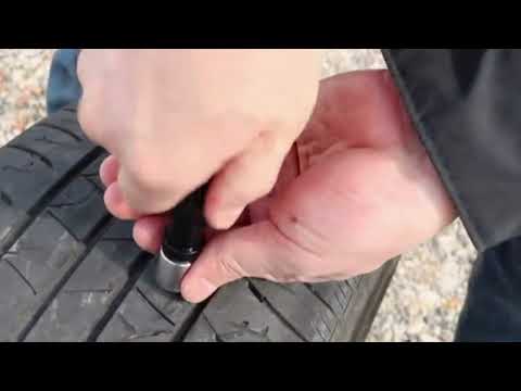 Réparer un pneu de manière innovante : l&rsquo;incroyable pouvoir des champignons