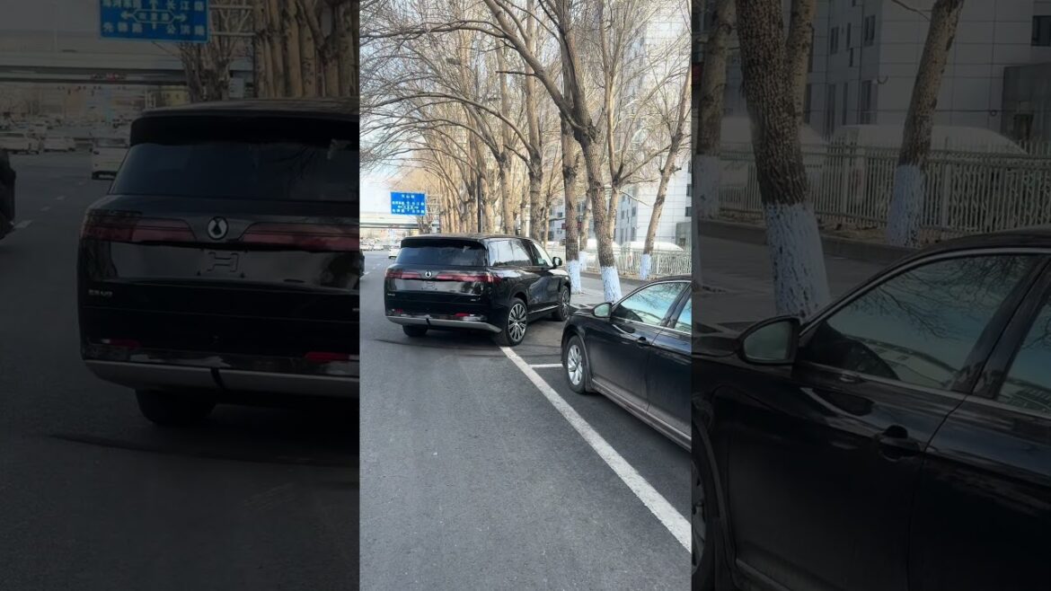 La technologie révolutionnaire de la BYD Denza N9 : un stationnement autonome qui impressionne et inspire confiance