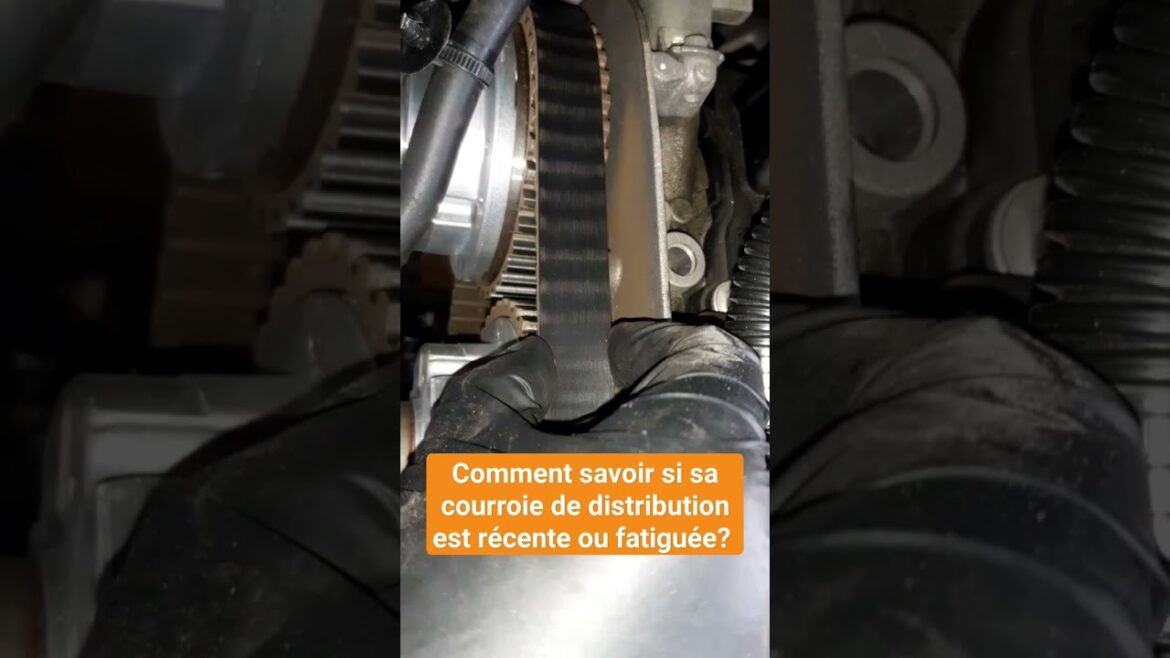 Découvrez l&rsquo;importance cruciale de la courroie de distribution : comment savoir si elle a été changée ?