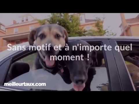 Révélez les secrets d’un changement d’assurance auto réussi : votre guide pratique et fiable