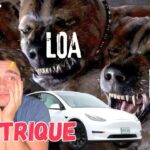 Comprendre les enjeux du financement d&rsquo;une voiture électrique : entre LLD, LOA et crédit, faites le bon choix