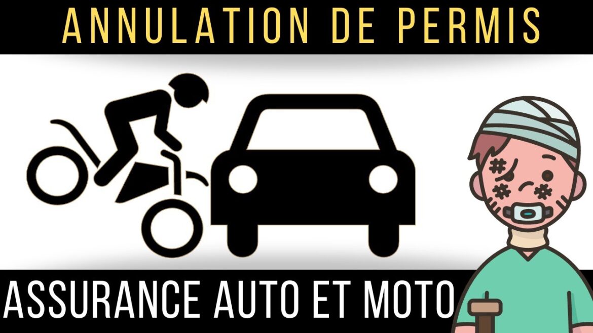 Naviguer dans l&rsquo;annulation de permis : comprendre les enjeux de l&rsquo;assurance auto et moto